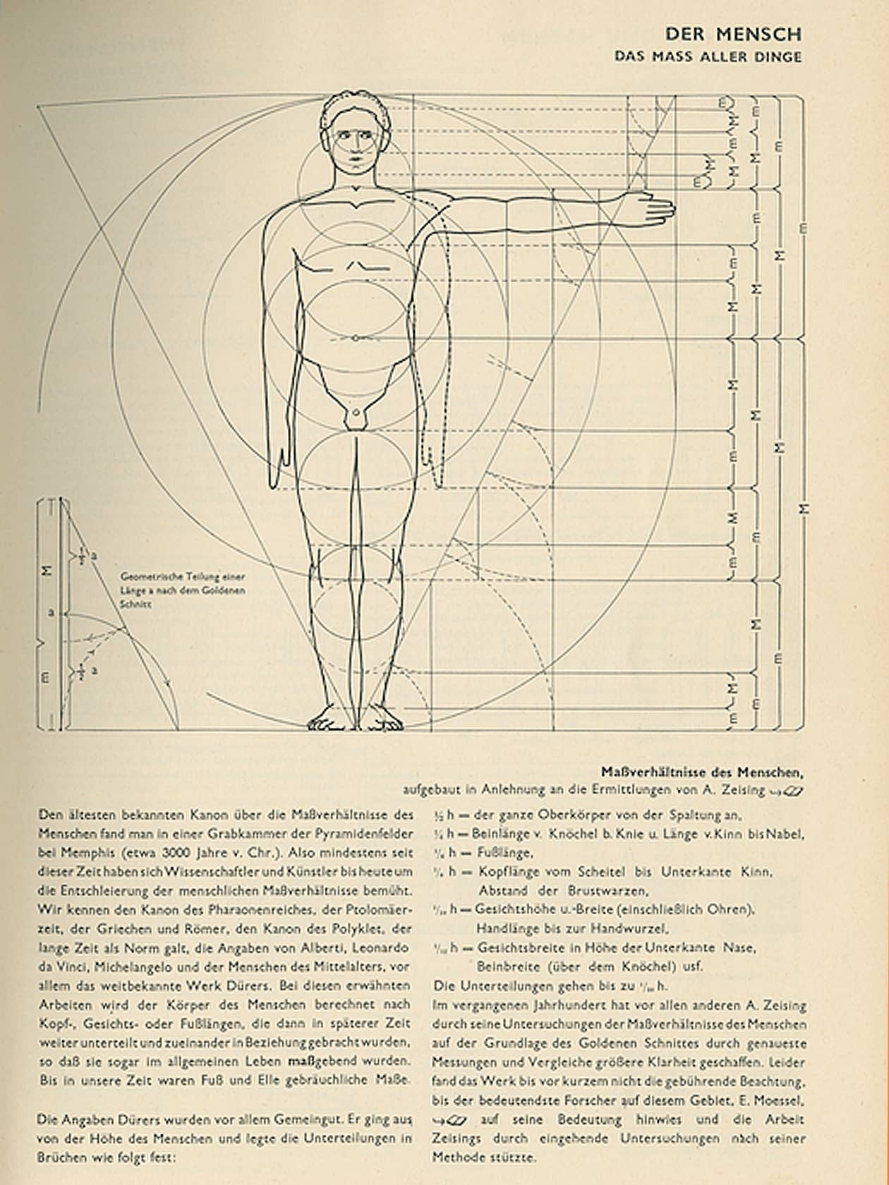 First edition of Bauentwurfslehre of Ernst Neufert , 1936, “Der Mensch”